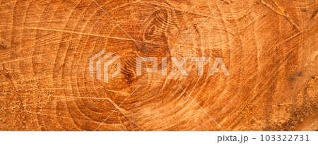 Chainsaw cut oak wood texture, sawn wood texture 103322731
