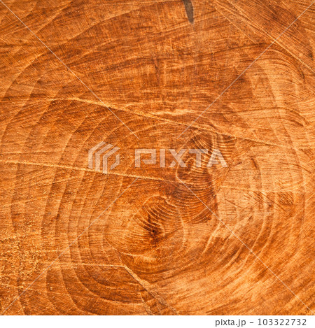 Chainsaw cut oak wood texture, sawn wood texture 103322732