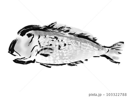 甘鯛の手描き和風イラスト 甘鯛の手描き和風イラスト 103322788
