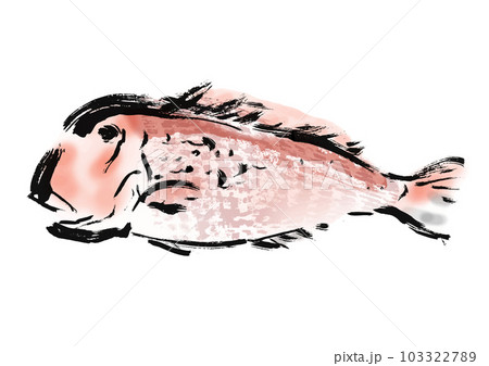 甘鯛の手描き和風イラスト 甘鯛の手描き和風イラスト 103322789