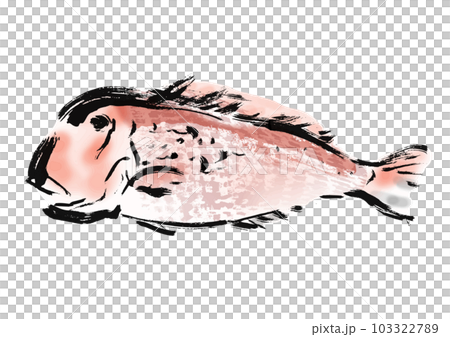 Hand drawn Japanese style illustration of tilefish 103322789