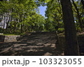 木漏れ日の新宿中央公園 103323055