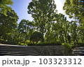 木漏れ日の新宿中央公園 103323312