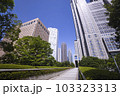 新宿公園から見た都庁ビル 103323313