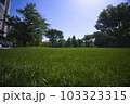 晴天の緑豊かな新宿中央公園 103323315