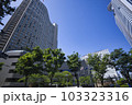 西新宿のヒルトンホテル 103323316