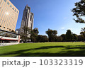 新宿公園から見た都庁ビル 103323319