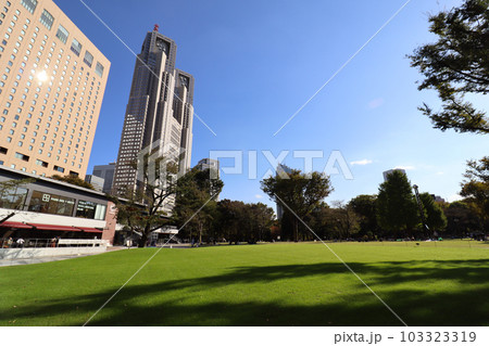新宿公園から見た都庁ビル 103323319