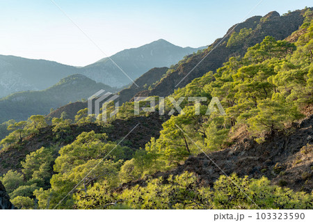 View of Olympos - Chiraly beach and Mediterranean Sea on sunny summer day. Turkey. 103323590