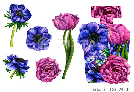 Watercolor floral perfume bottle with violet tulips and blue anemone. Hand-drawn illustration flowers aroma spray isolated on white background for greeting cards, wedding invitation and birthday 103324336