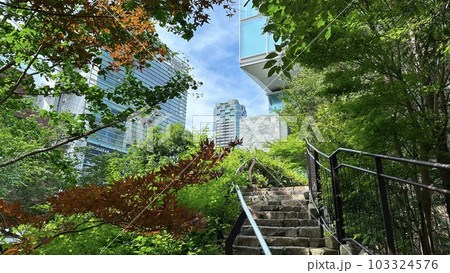 都会の緑と高層ビル 103324576