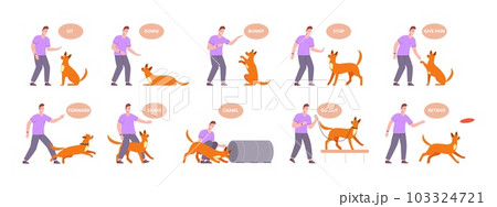Dog training command. Owner teach puppy obey active commands, pet behavior canine language hand gesture sit up follow waiting train obedient exercise, vector illustration 103324721