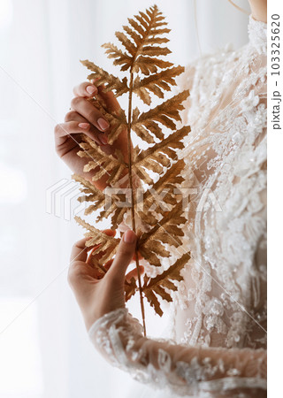 portrait of a bride in the morning before the wedding 103325620