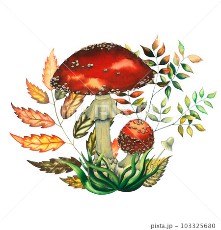 Watercolor red fly agarics composition with big and small mushrooms, leaves, herbs. Isolated hand drawn illustration on white background 103325680