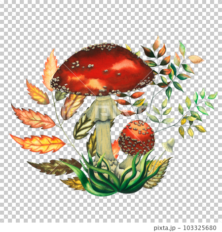 Watercolor red fly agarics composition with big and small mushrooms, leaves, herbs. Isolated hand drawn illustration on white background 103325680