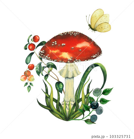 Composition with watercolour wild forest fly agaric red mushroom and cranberry, blueberry, butterfly, a blade of grass. Isolated hand drawn illustration on white background 103325731