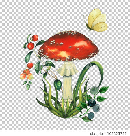 Composition with watercolour wild forest fly agaric red mushroom and cranberry, blueberry, butterfly, a blade of grass. Isolated hand drawn illustration on white background 103325731