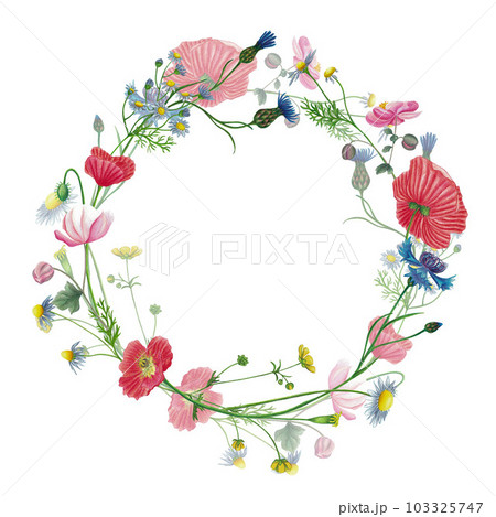 Wild flowers wreath, frame, invitation, greeting card with red poppy, camomile, cornflower, anemone, ranunculus, eryngium flower hand drawn isolated on white Wild flowers wreath, frame, invitation, greeting card with red poppy, camomile, cornflower, anemone, ranunculus, eryngium flower hand drawn isolated on white 103325747