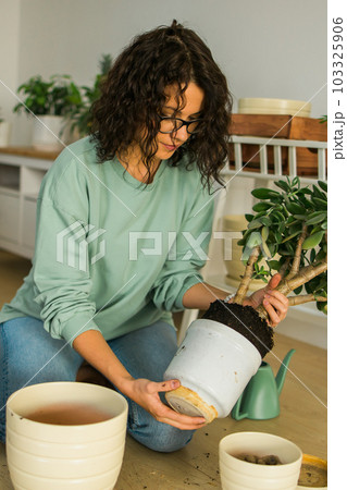 Woman grows potted plants at home watering and take care flowers - gardening and houseplant care concept Woman grows potted plants at home watering and take care flowers - gardening and houseplant care concept 103325906