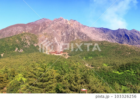 【鹿児島県】晴天の湯之平展望所から見た桜島の山頂（噴火口） 103326256