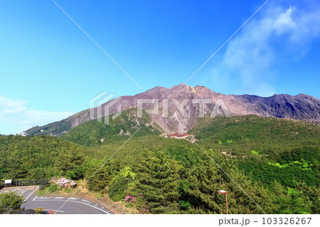 【鹿児島県】晴天の湯之平展望所から見た桜島の山頂（噴火口） 103326267