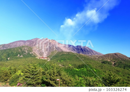 【鹿児島県】晴天の湯之平展望所から見た桜島の山頂（噴火口） 103326274