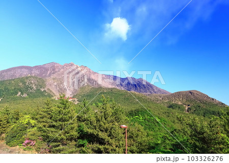 【鹿児島県】晴天の湯之平展望所から見た桜島の山頂（噴火口） 103326276