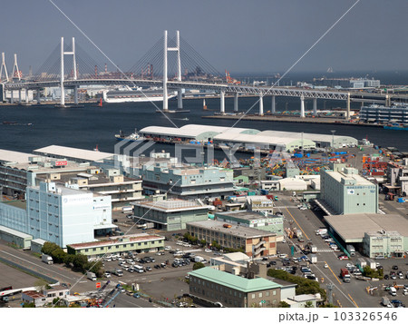 山下ふ頭とベイブリッジ　神奈川県　横浜市 103326546