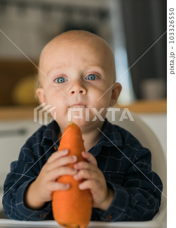 Happy baby sitting in high chair eating carrot in kitchen . Healthy nutrition for kids. Bio carrot as first solid food for infant. Children eat vegetables. Little boy biting raw vegetable. Happy baby sitting in high chair eating carrot in kitchen . Healthy nutrition for kids. Bio carrot as first solid food for infant. Children eat vegetables. Little boy biting raw vegetable. 103326550