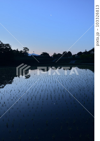 北杜市白州町、有明の月映す田植えの済んだ水田 北杜市白州町、有明の月映す田植えの済んだ水田 103326813