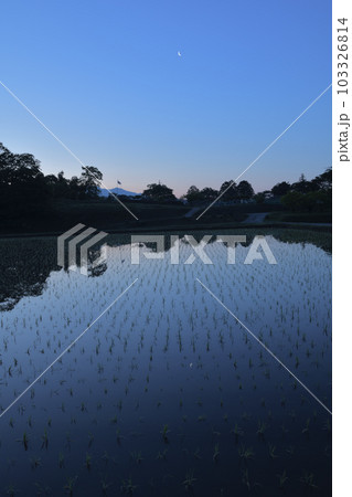 北杜市白州町、有明の月映す田植えの済んだ水田 北杜市白州町、有明の月映す田植えの済んだ水田 103326814