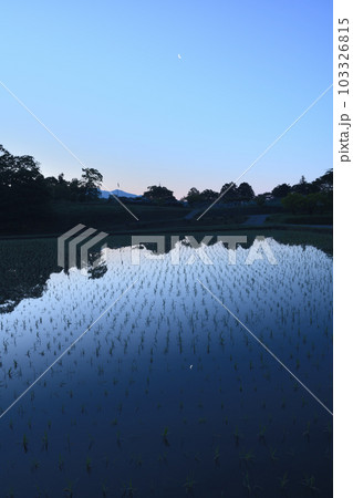 北杜市白州町、有明の月映す田植えの済んだ水田 北杜市白州町、有明の月映す田植えの済んだ水田 103326815