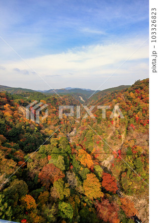 [定額] 秋の紅葉の九重夢大吊橋 ( 九酔渓 方面 ) 103326823