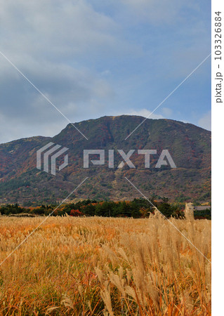 秋のタデ原湿原の草紅葉と紅葉 ( 2021年11月 大分県 九重町 ) 103326884