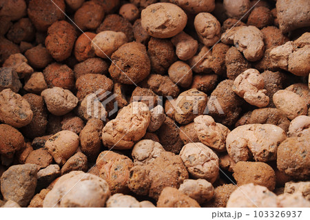 Expanded clay. small lumps of clay used in construction and for growing plants. 103326937