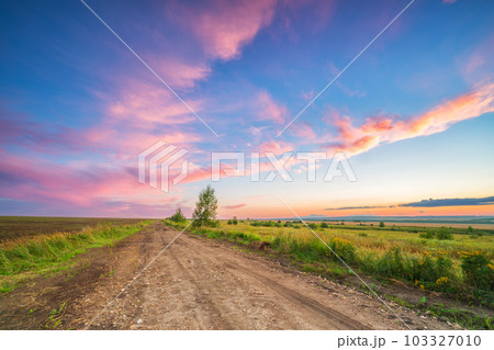 Rural landscape with ground road at beautiful summer sunset Rural landscape with ground road at beautiful summer sunset 103327010