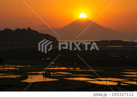 ダイヤモンド富士と館山城と夕日が光る田園 館山市 ダイヤモンド富士と館山城と夕日が光る田園 館山市 103327112