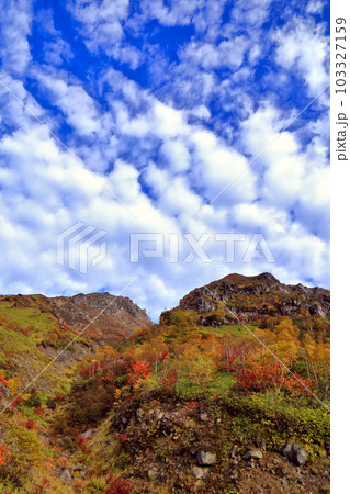 秋の紅葉の焼岳の風景 ( 中の湯新道分岐 / 2022年10月 / 長野県 松本市 ) 秋の紅葉の焼岳の風景 ( 中の湯新道分岐 / 2022年10月 / 長野県 松本市 ) 103327159