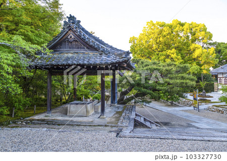 早朝の総本山仁和寺境内、手水舎 103327730