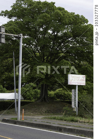 日光御成道下野田の一里塚 東塚 日光御成道下野田の一里塚 東塚 103327778