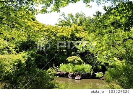 気持ち良い新緑 おもむきある風景 気持ち良い新緑 おもむきある風景 103327823