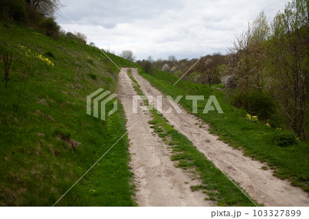 Country road. Eastern europe. 103327899