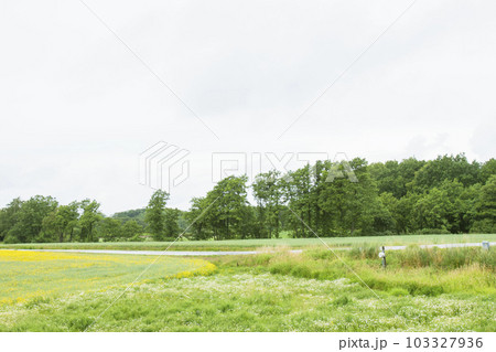 ヨーロッパの田舎道で撮影した風景 ヨーロッパの田舎道で撮影した風景 103327936