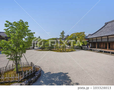総本山仁和寺 南庭 総本山仁和寺 南庭 103328013
