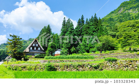 五箇山・相倉合掌造り集落(夏) 五箇山・相倉合掌造り集落(夏) 103328343