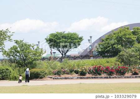 新緑の公園の風景 新緑の公園の風景 103329079