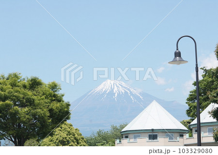 新緑の公園の風景 新緑の公園の風景 103329080