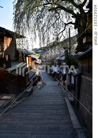 日本の春の京都 清水寺周辺の街並み 産寧坂と古い住居と店舗 美しい桜と新緑 日本の春の京都 清水寺周辺の街並み 産寧坂と古い住居と店舗 美しい桜と新緑 103329504