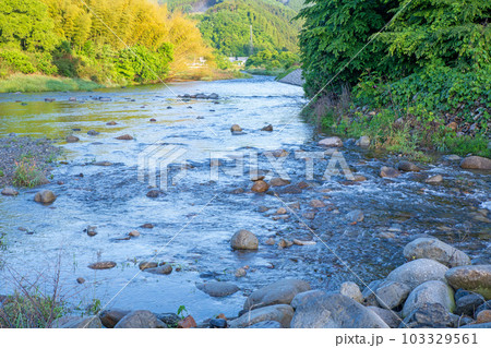 大芦川　芦の郷公園付近からの眺め　新緑の風景　鹿沼市　 103329561