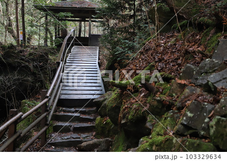 綺麗な山道 綺麗な山道 103329634
